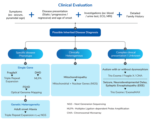 Singular MP - Quadro Doenças Neurológicas