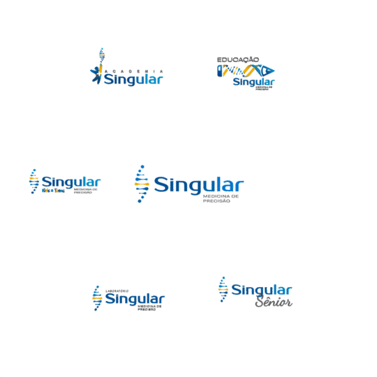 Singular MP - Estrutura